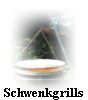 Schwenkgrills